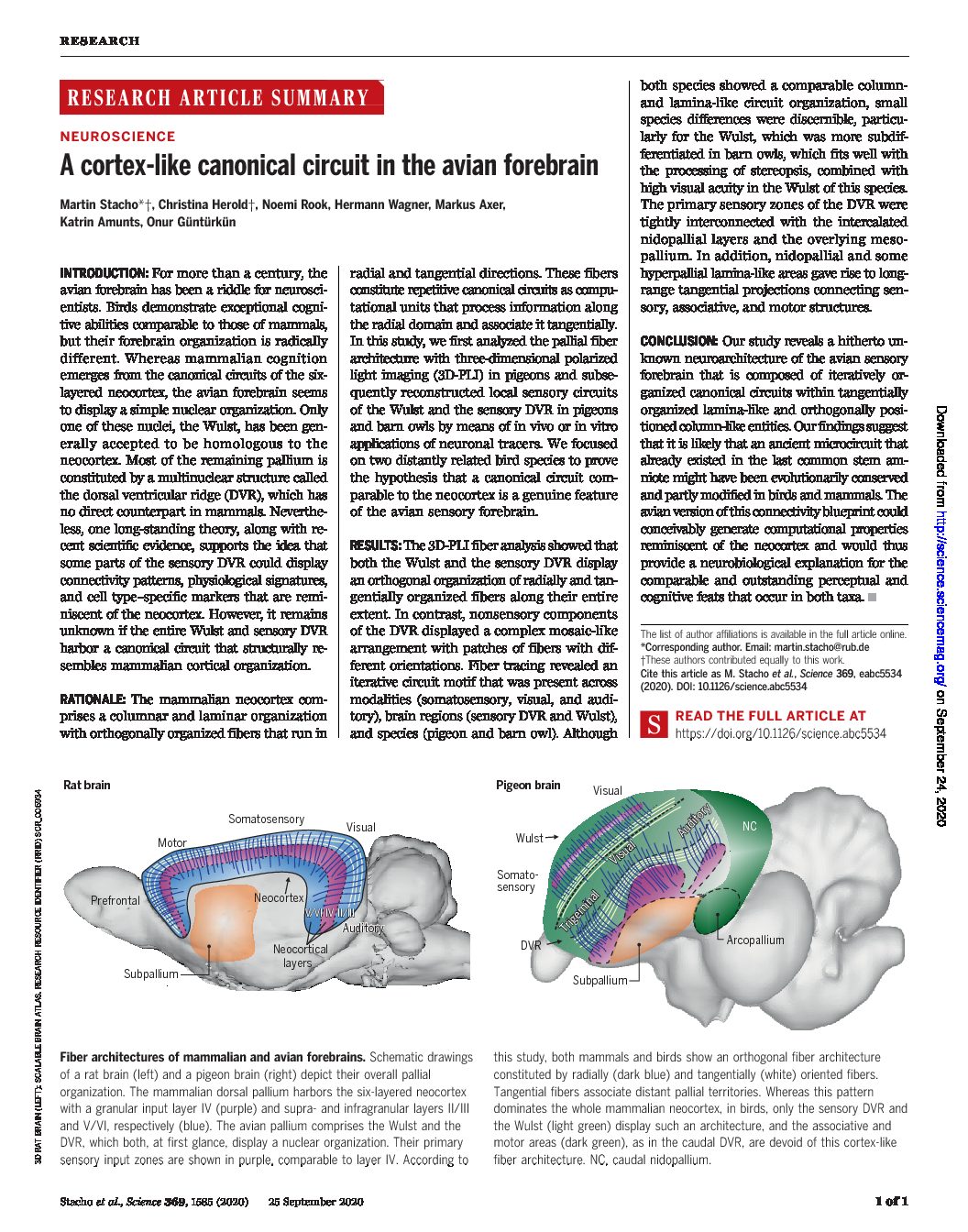 Seiten-aus-2020-Stacho-et-al-Science-1-pdf
